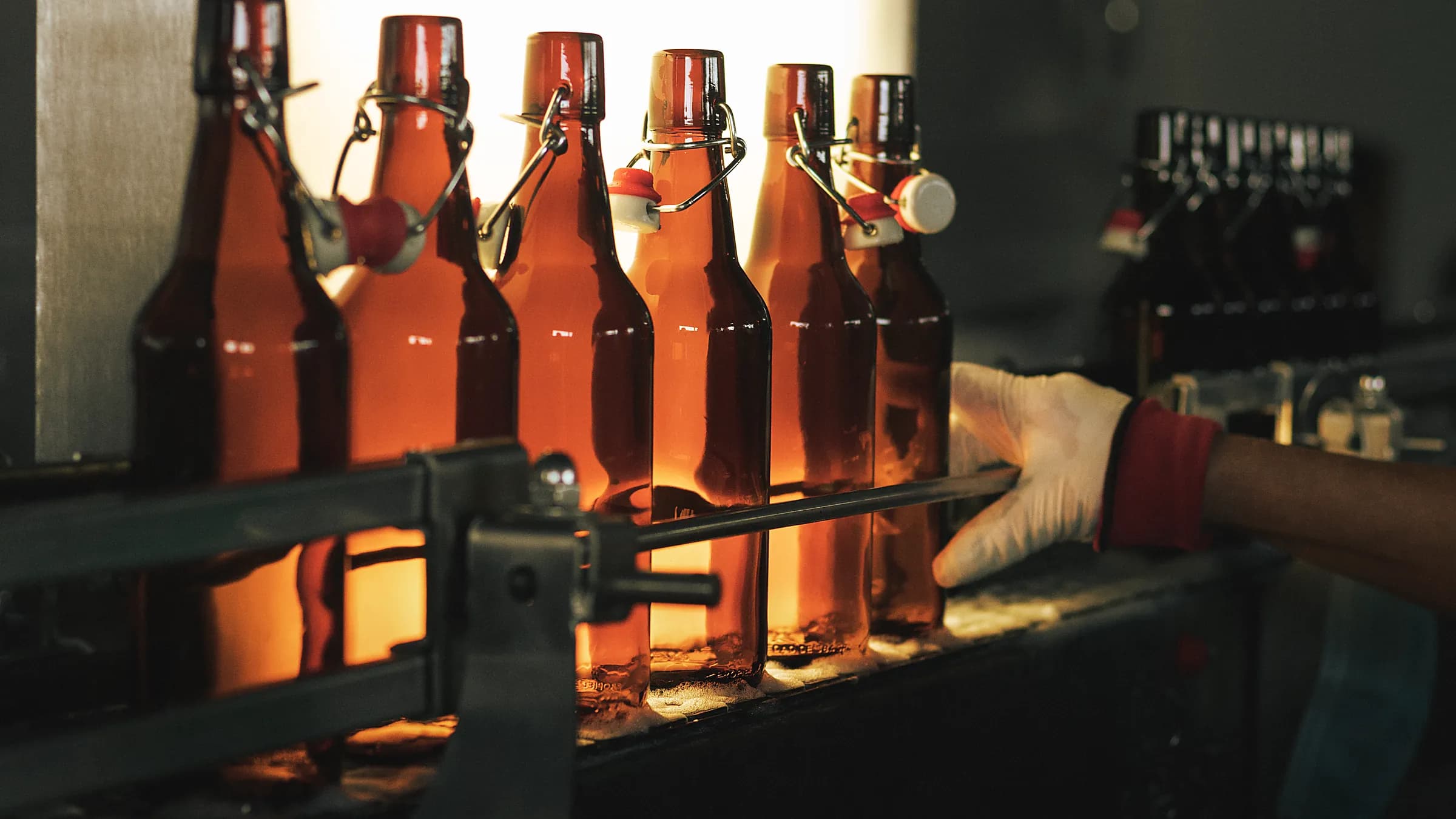 Botellas Prost a contraluz en la línea de embotellado
